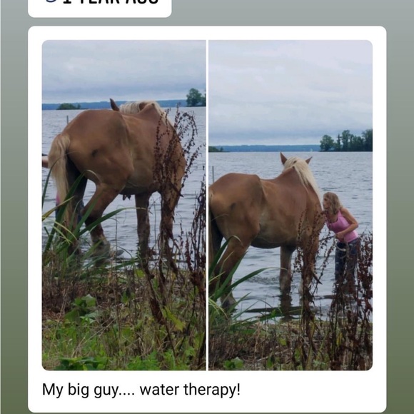 Unlisted Show Items 
Any unlisted Show Items!!! - Picture 12 of 14